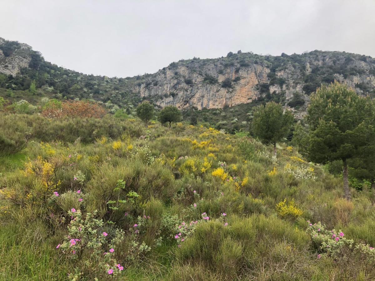 "Aux Balcons Du Riou" Avec Vue Mer 180 Degres Vence Exteriör bild