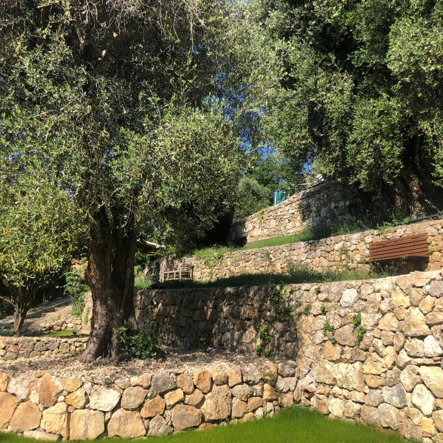 "Aux Balcons Du Riou" Avec Vue Mer 180 Degres Vence Exteriör bild