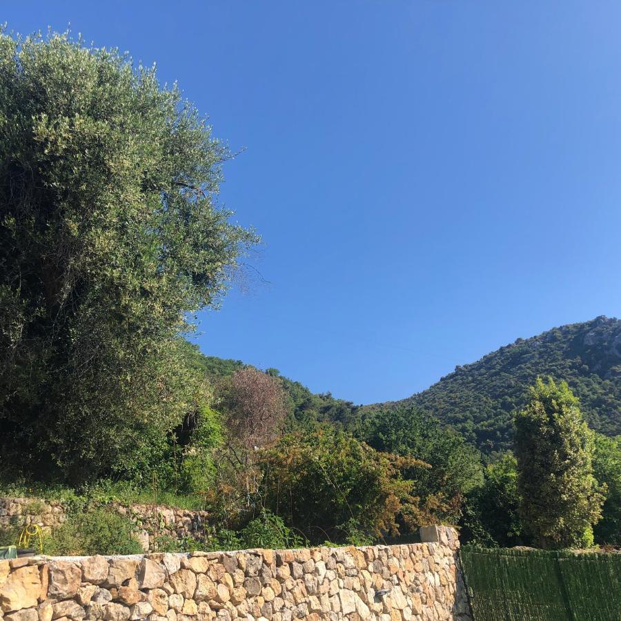 "Aux Balcons Du Riou" Avec Vue Mer 180 Degres Vence Exteriör bild