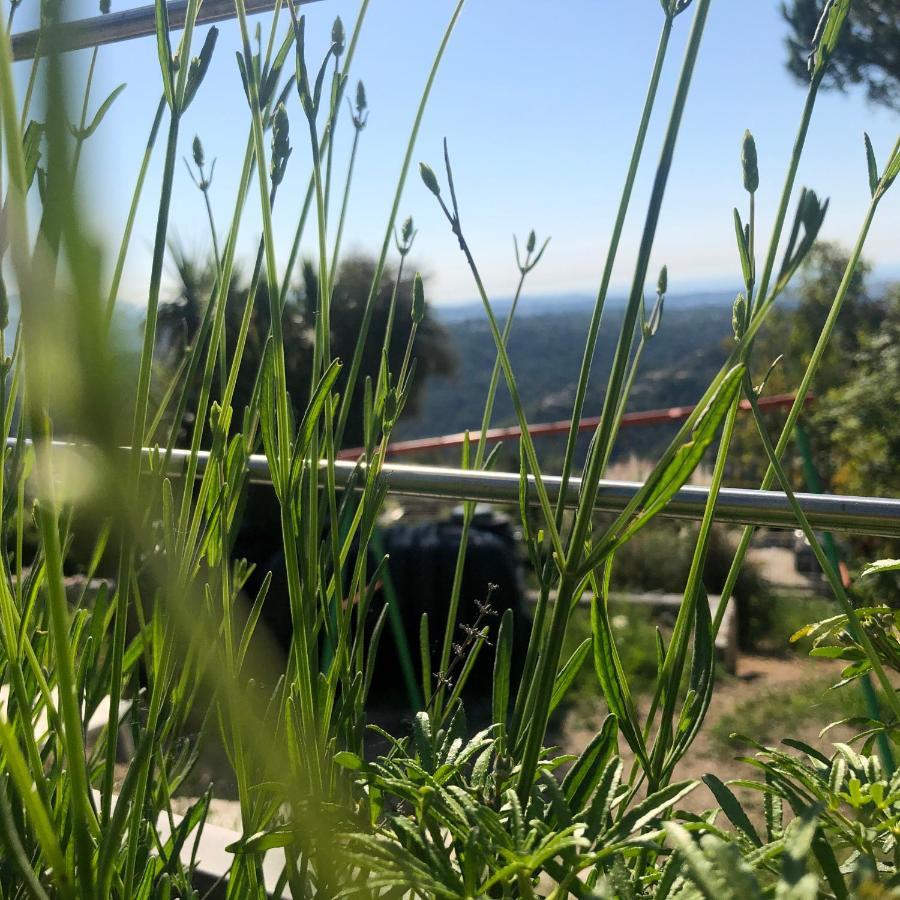 "Aux Balcons Du Riou" Avec Vue Mer 180 Degres Vence Exteriör bild